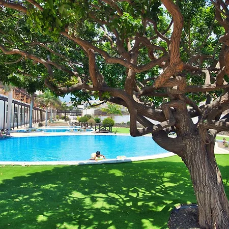 Ocean View Perfect Sunset Apartment, 4 137m2, Wifi & Bbq Appartement San Miguel de Abona